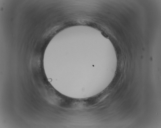 X0000081270595200702012155