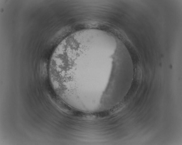 X0000081270598200702012155