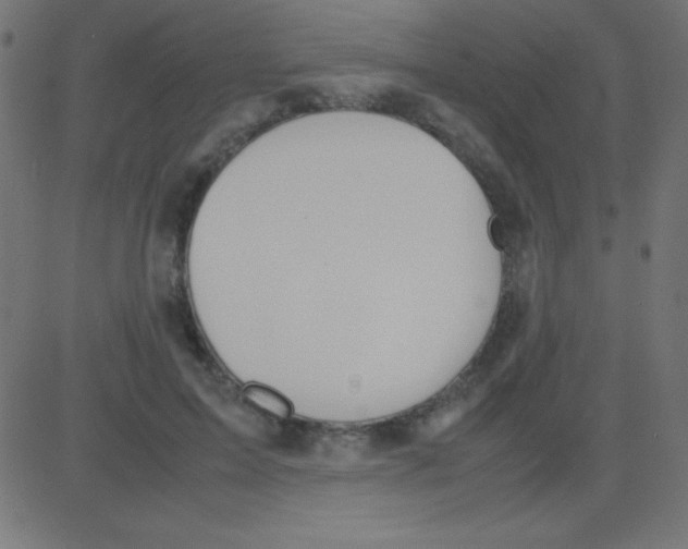 X0000081270599200702012155