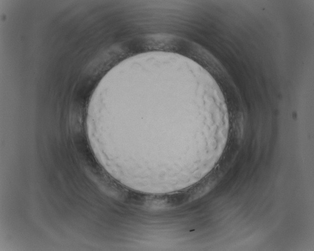 X0000081270602200702012155