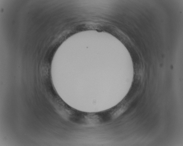 X0000081270603200702012155
