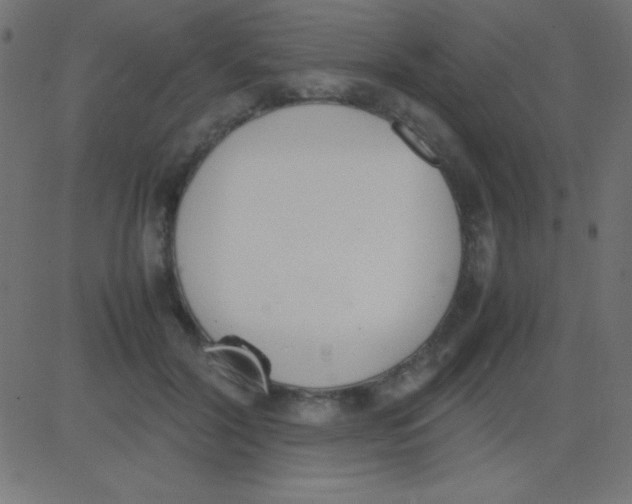 X0000081270604200702012155