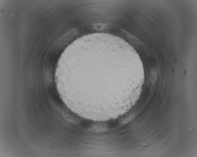 X0000081270606200702012155