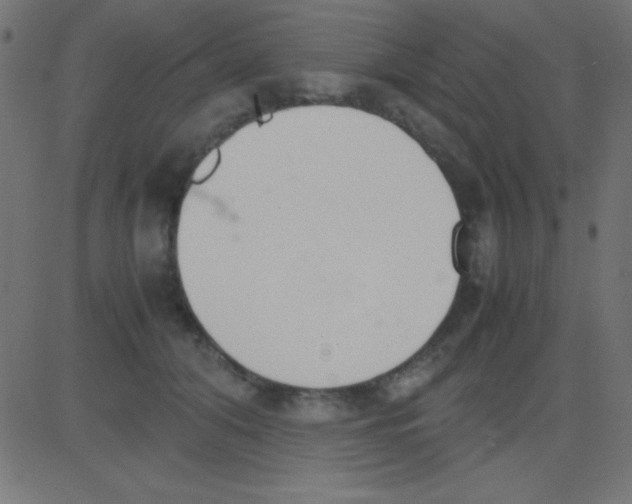 X0000081270608200702012155