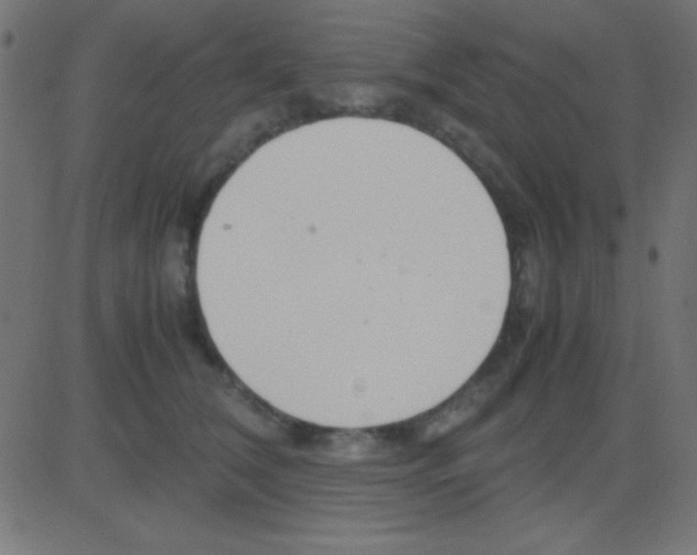 X0000081270612200702012155