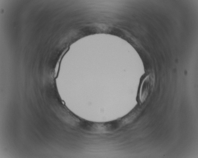 X0000081270613200702012155