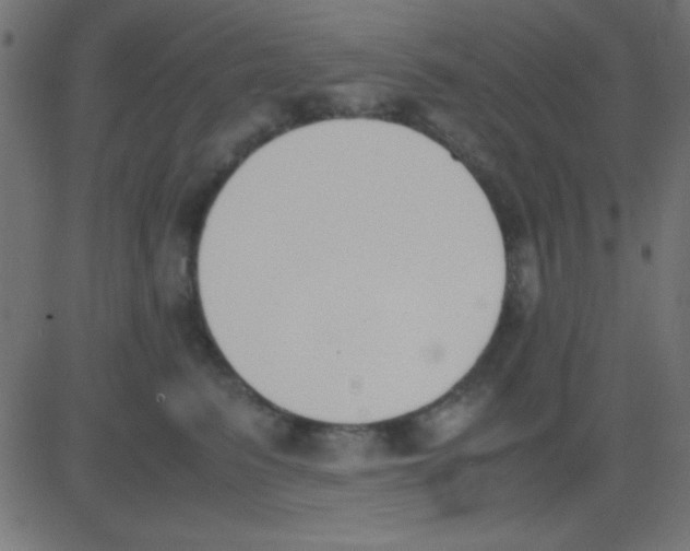 X0000081270615200702012155