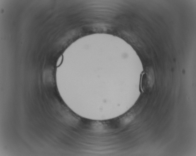 X0000081270616200702012155