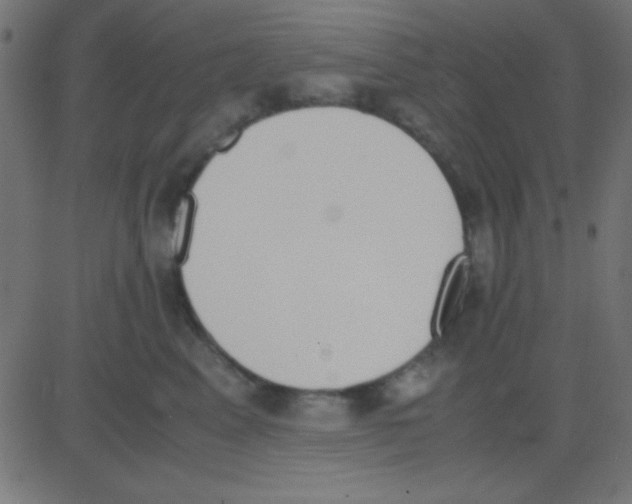 X0000081270617200702012155