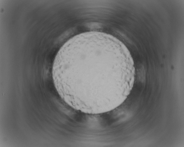 X0000081270618200702012155