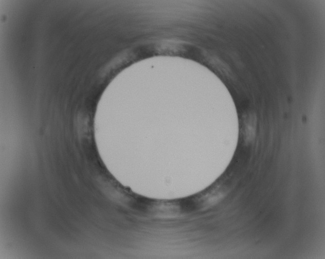 X0000081270619200702012155