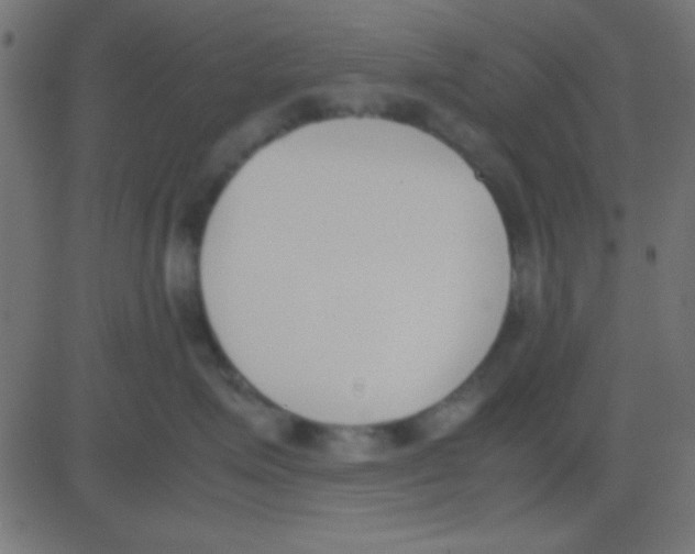 X0000081270623200702012155