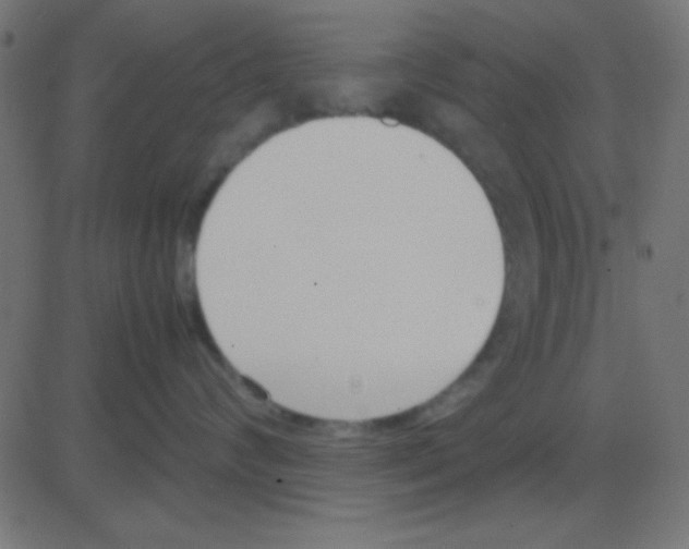 X0000081270624200702012155