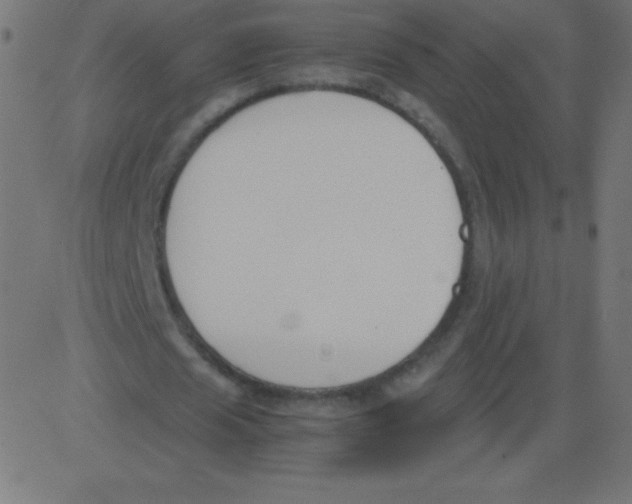 X0000081270625200702012154