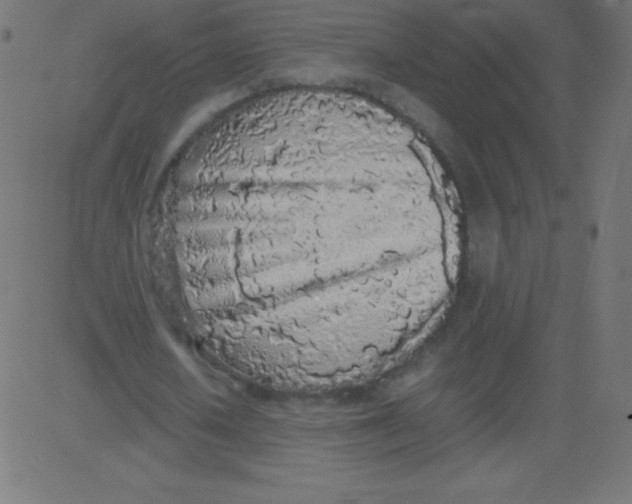 X0000081270626200702012154