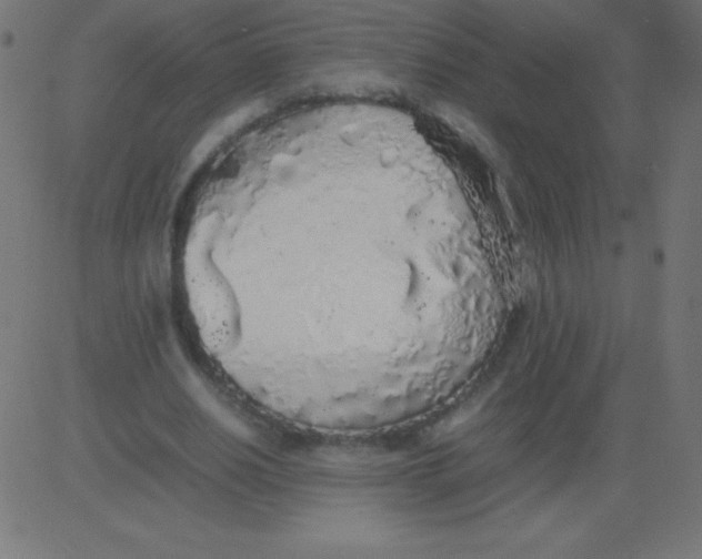 X0000081270630200702012154