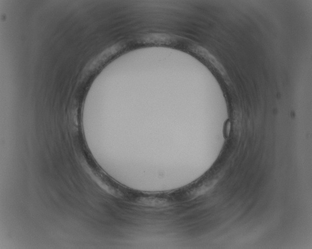 X0000081270633200702012154