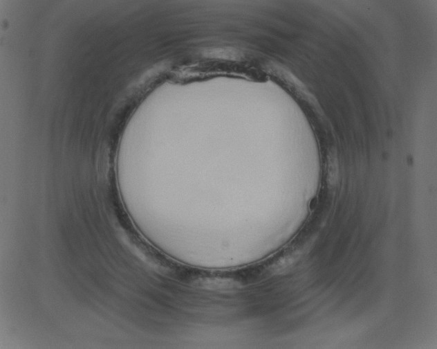 X0000081270637200702012154