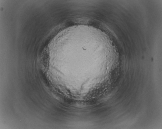 X0000081270641200702012154
