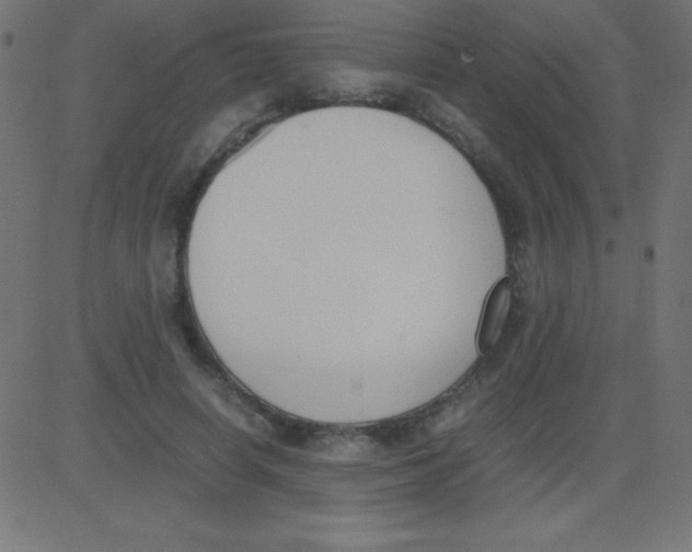 X0000081270642200702012154