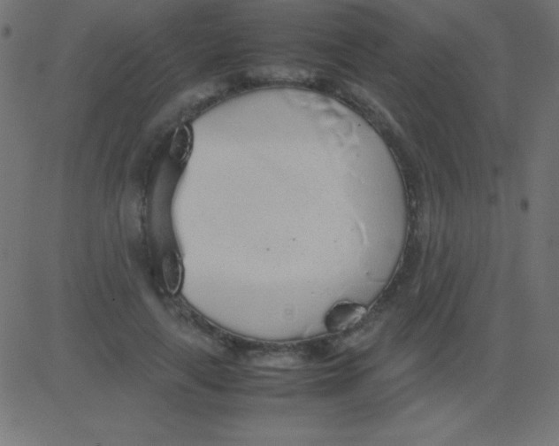 X0000081270643200702012154