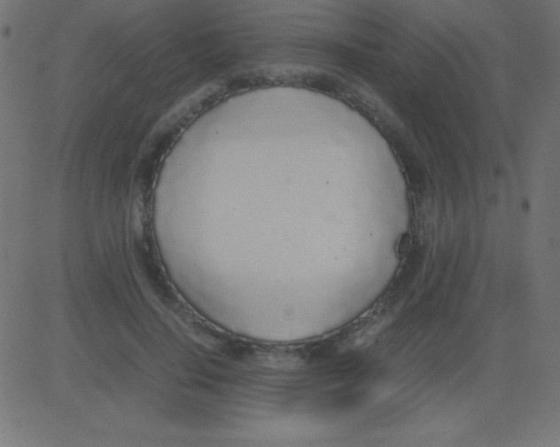 X0000081270644200702012154