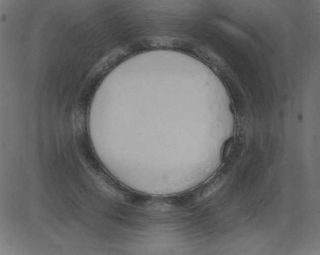 X0000081270648200702012154