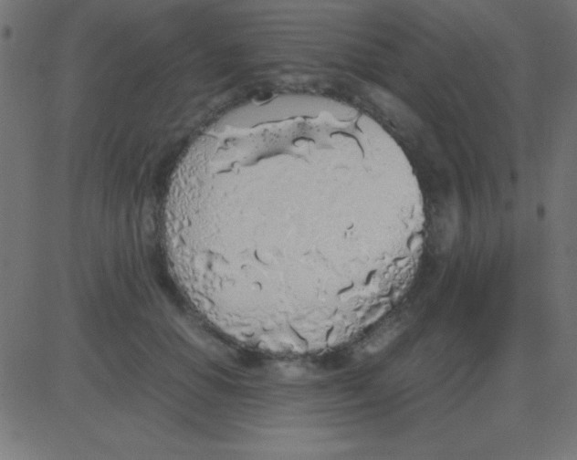 X0000081270654200702012155