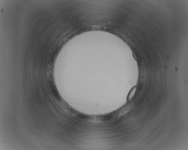 X0000081270656200702012155