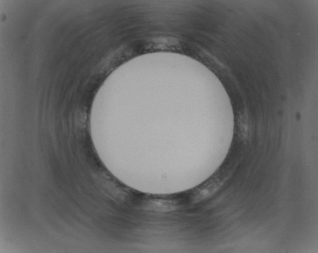 X0000081270657200702012155
