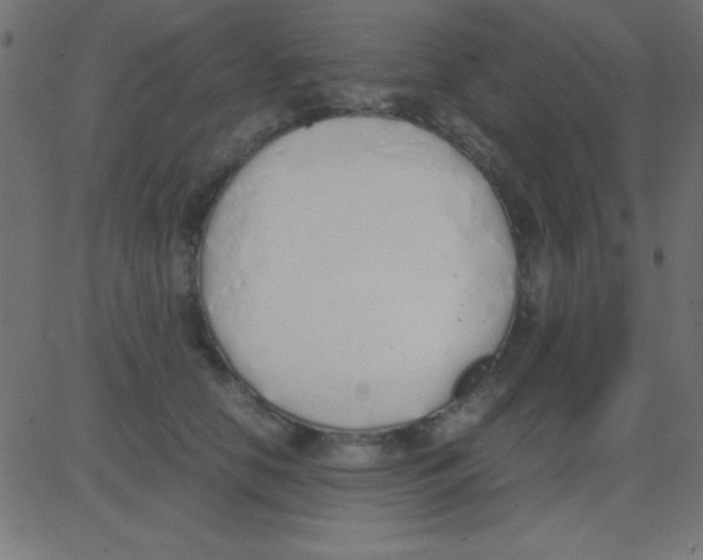 X0000081270658200702012155
