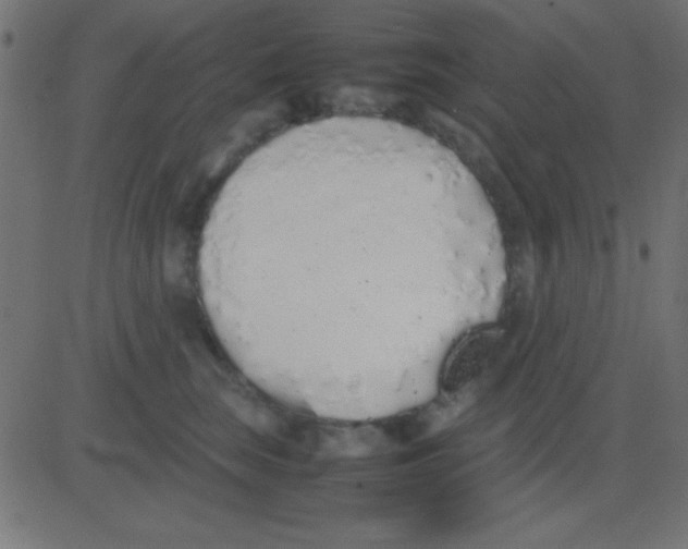 X0000081270663200702012155