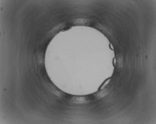 X0000081270665200702012155