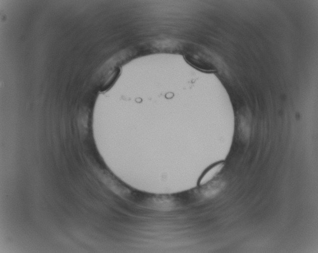 X0000081270668200702012155