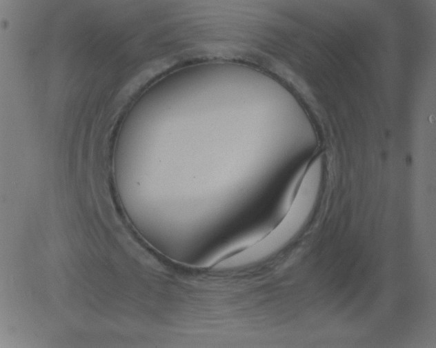 X0000081270673200702012154