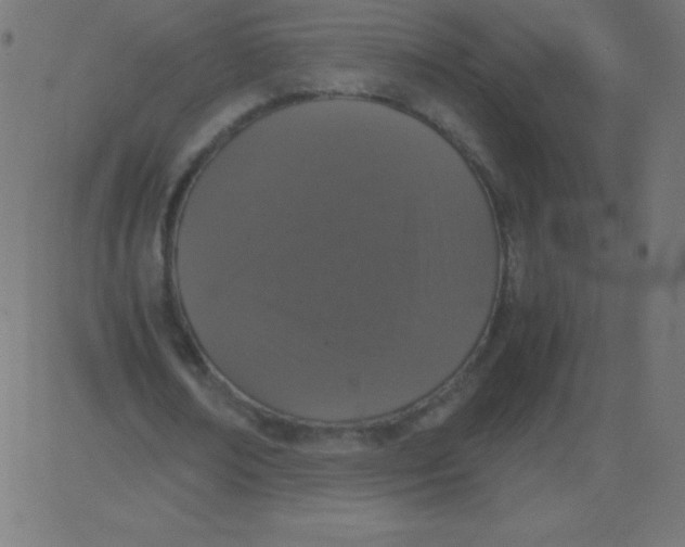 X0000081270674200702012154
