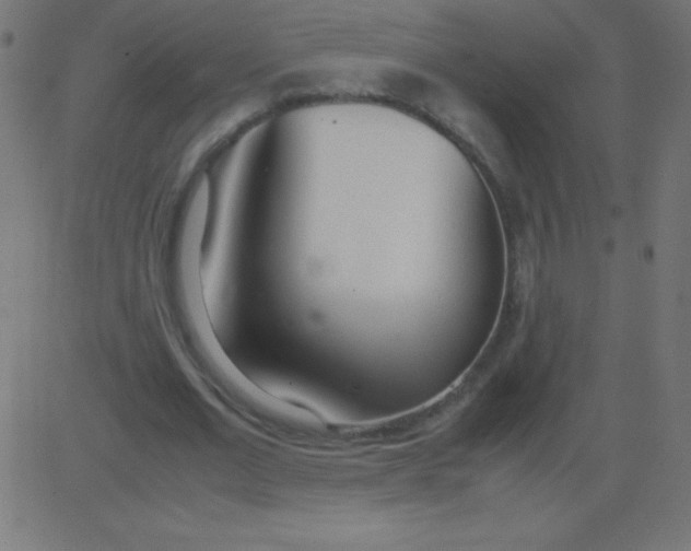 X0000081270677200702012154