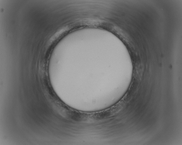 X0000081270679200702012154