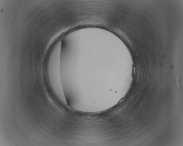 X0000081270680200702012154