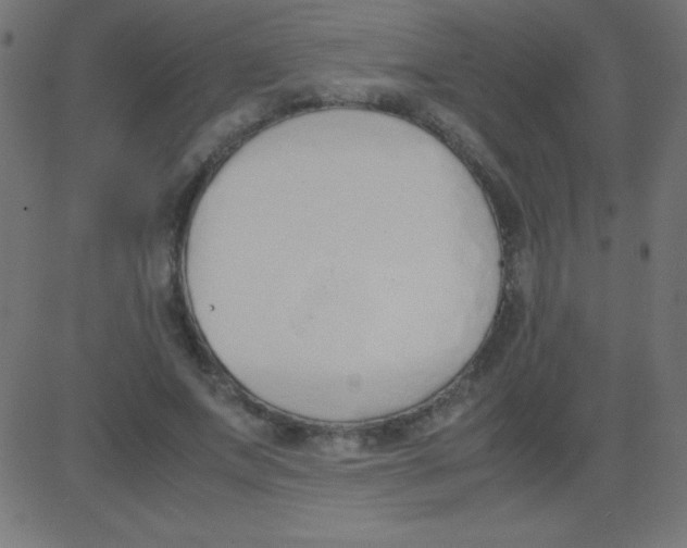 X0000081270687200702012154