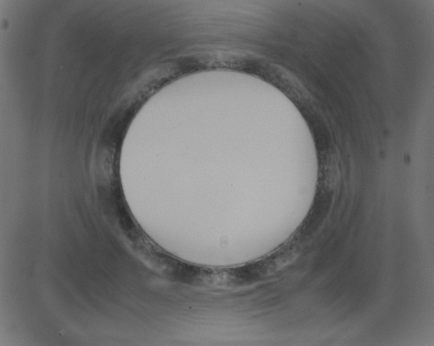 X0000081270695200702012154