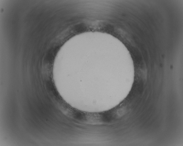 X0000081270707200702012154
