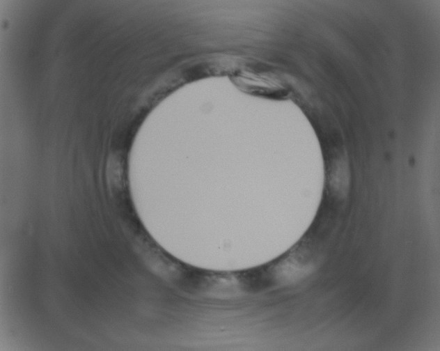 X0000081270715200702012153