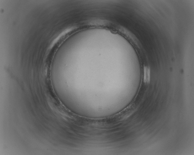 X0000081270723200702012153