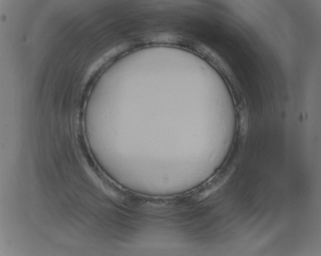 X0000081270725200702012153