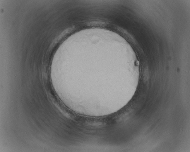 X0000081270729200702012153
