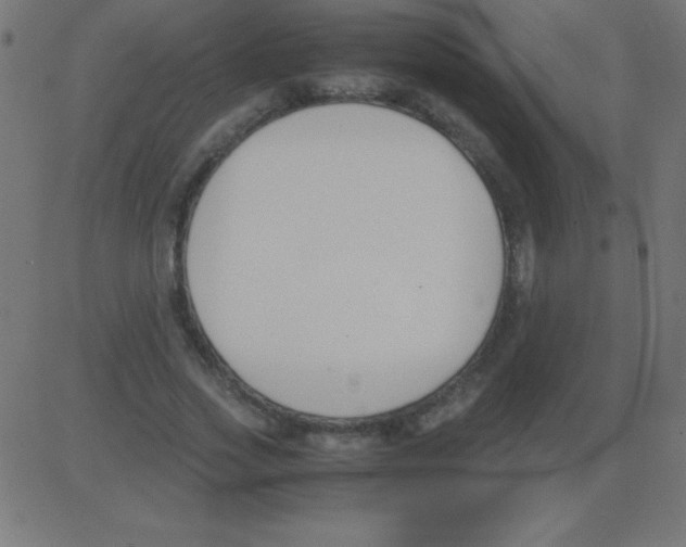 X0000081270733200702012153