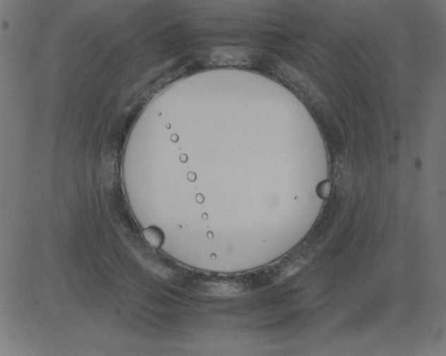 X0000081270741200702012153