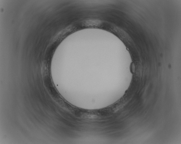 X0000081270743200702012153