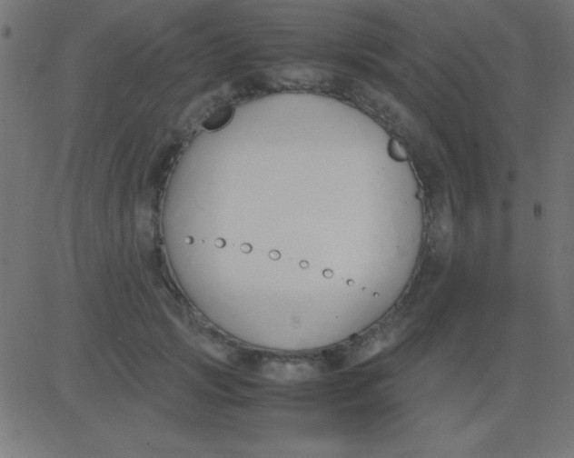 X0000081270749200702012153